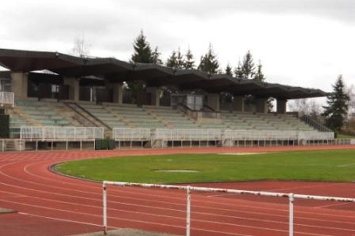 Le terrain d’honneur du stade Guy Boniface